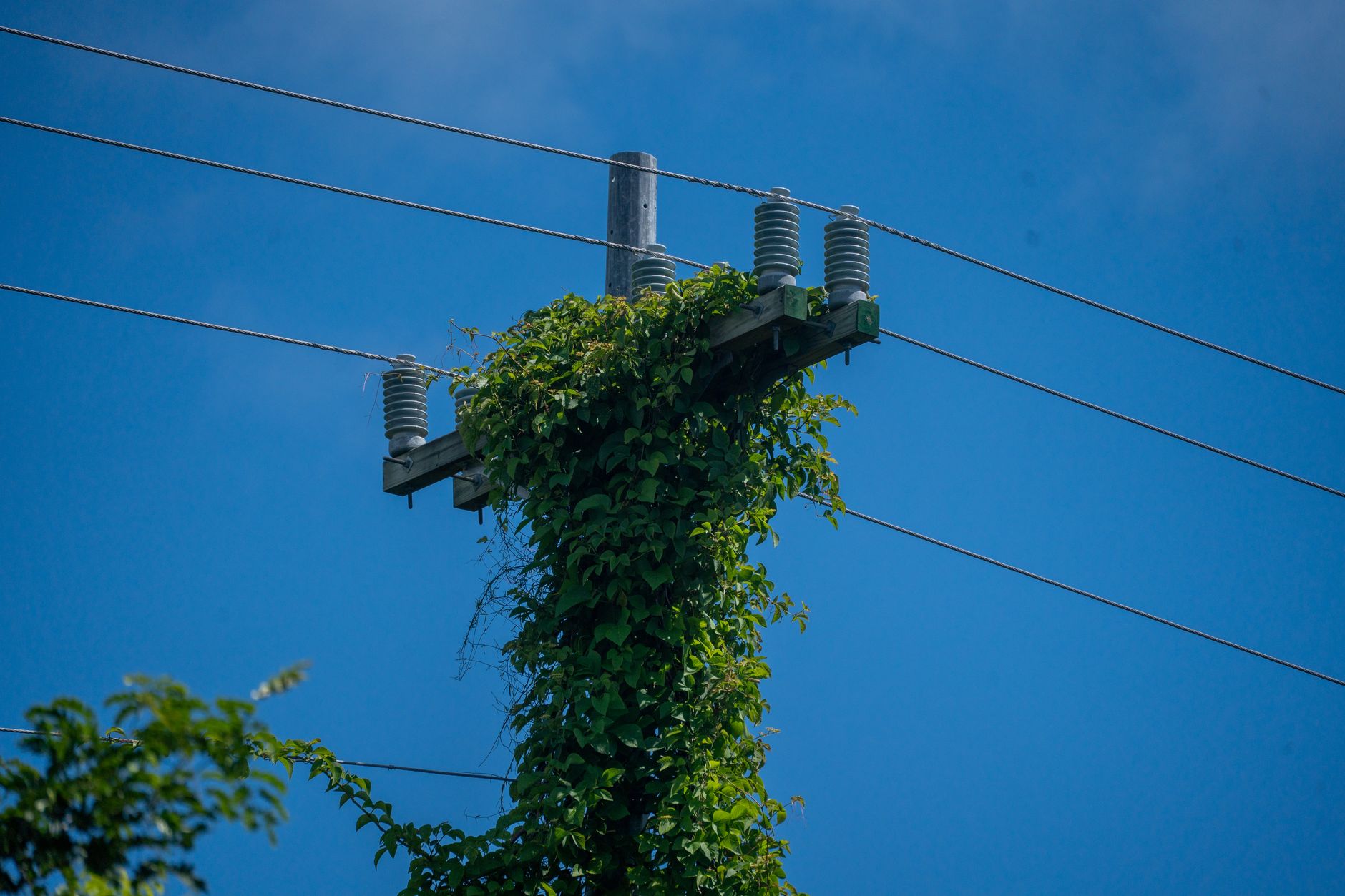Zelenski acuză Moscova de dispreț față de SUA după atacul masiv asupra infrastructurii energetice din Ucraina