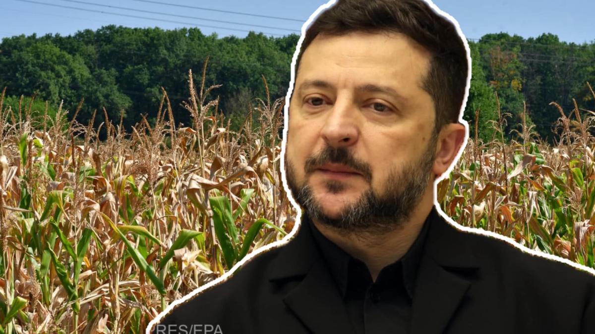 Solicitarea lui Zelenski pentru tranzitul cerealelor prin România, Ungaria, Polonia și Slovacia