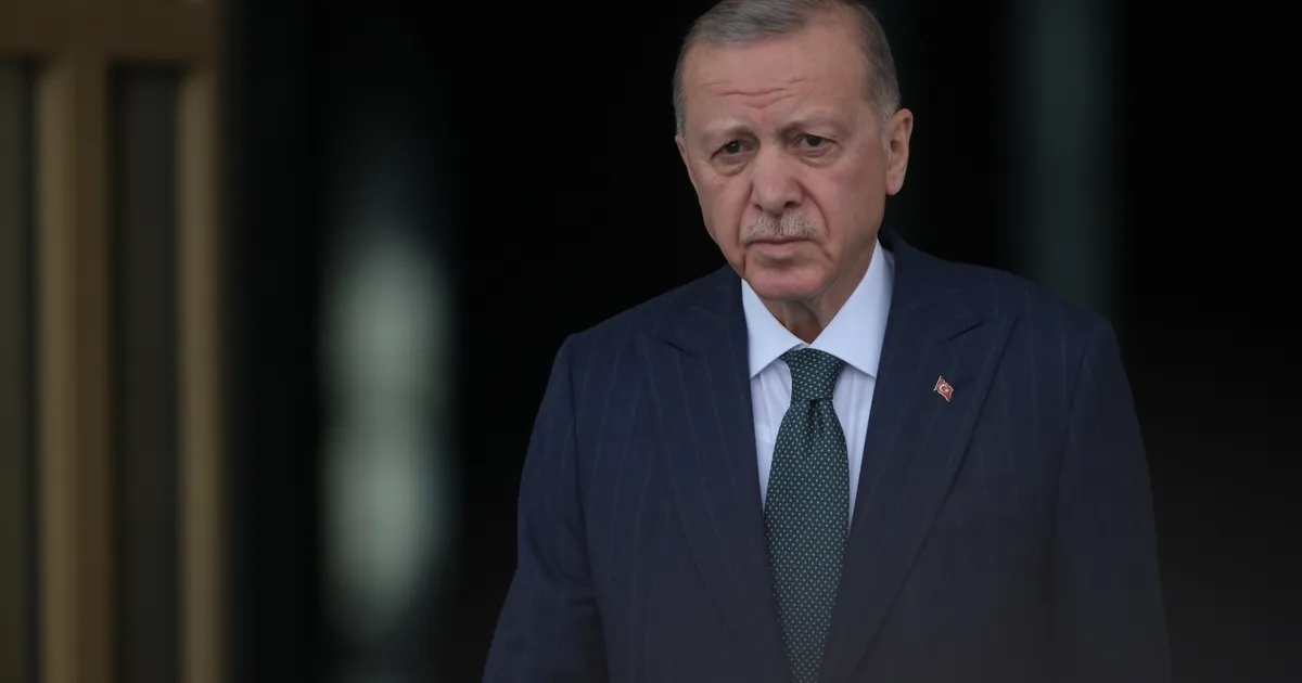 Avertismentul lui Recep Tayyip Erdoğan privind extinderea conflictului dintre Rusia și Ucraina în zona NATO