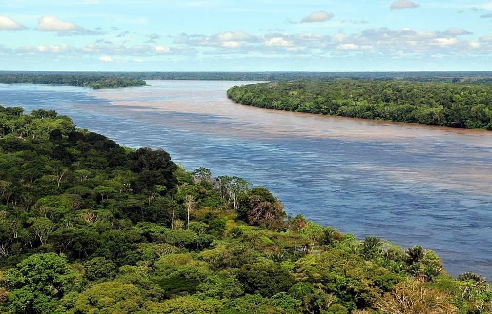 Criza de securitate din Amazon: Lideri indigeni aduc criminalitatea organizată în fața ONU