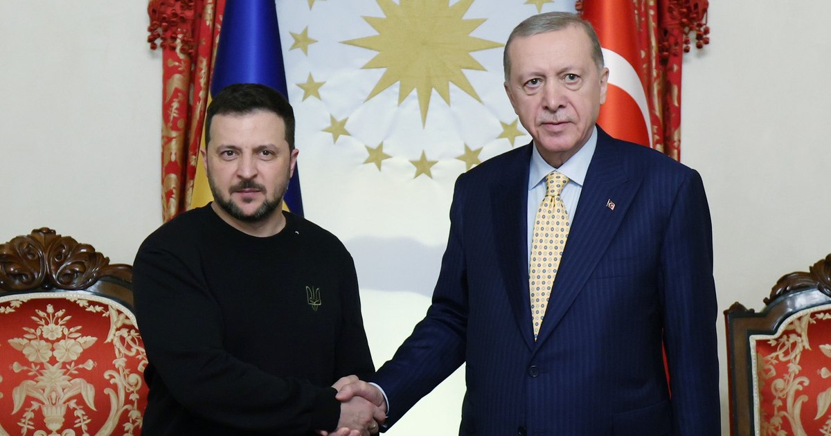 Zelenski se întâlnește la Istanbul cu Erdoğan: focus pe securitatea Mării Negre și medierea conflictului