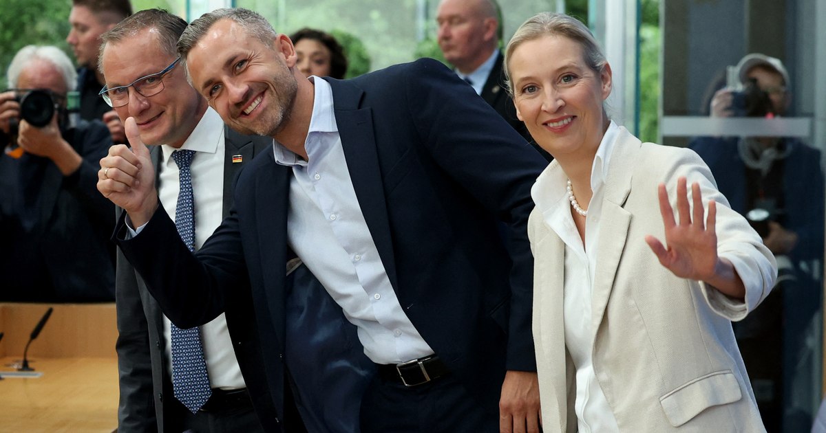 Riscul interzicerii partidelor radicale în Germania: o soluție ineficientă pentru criza de încredere