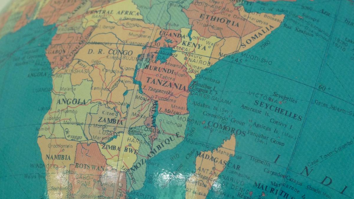 Reforma Consiliului de Securitate ONU: apel pentru o reprezentare reală a Africii