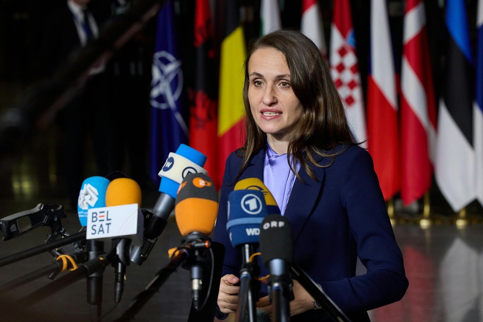 Oana Țoiu: Lipsa educației reprezintă o vulnerabilitate în fața strategiilor de dezinformare ale Rusiei