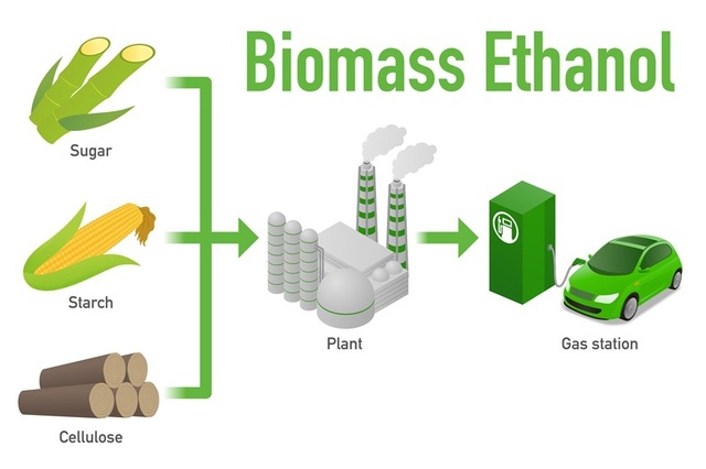 Creșterea masivă a producției de biocombustibili pune în pericol securitatea alimentară globală