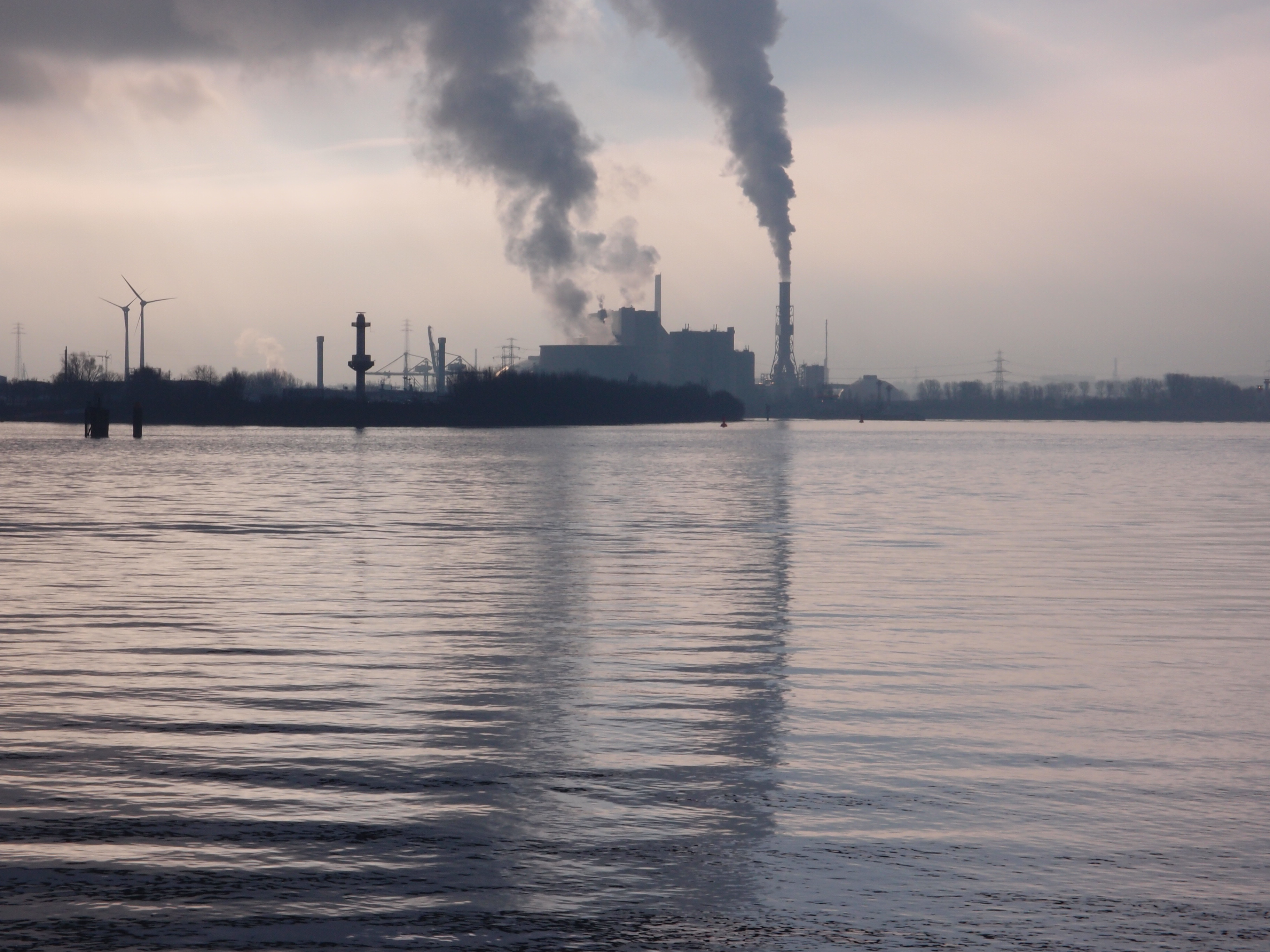 Criza gazelor naturale forțează producătorii europeni de energie să revină la utilizarea cărbunelui