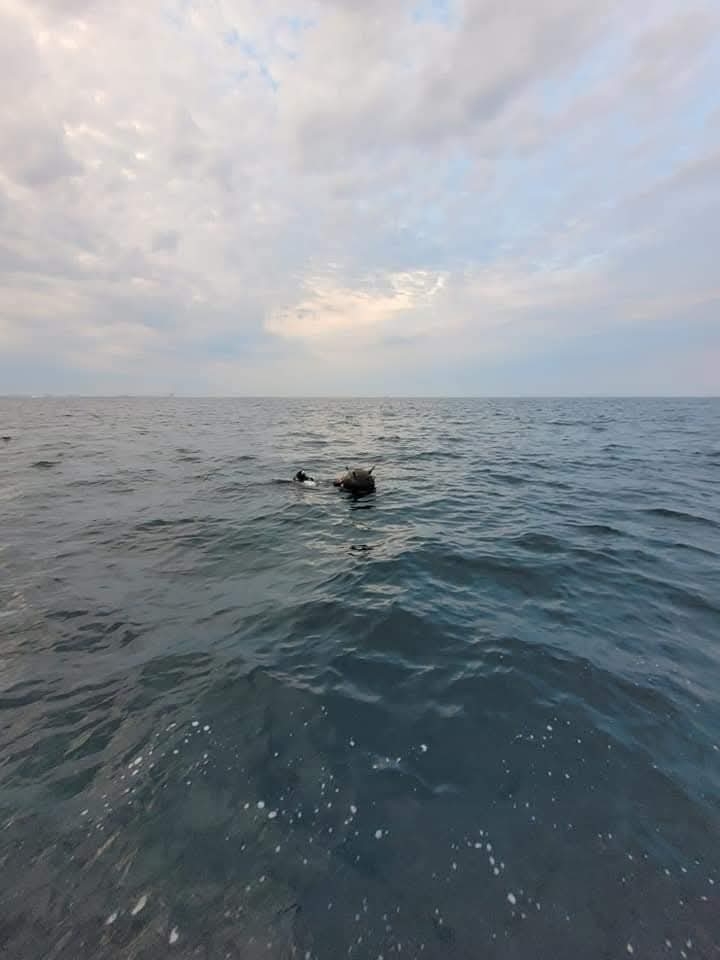 Zona economică exclusivă a României este declarată zonă maritimă cu risc ridicat în Marea Neagră