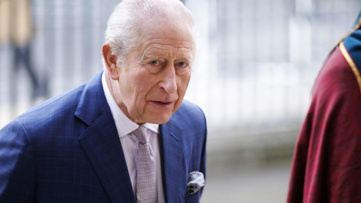 Dispută diplomatică între Ungaria și Marea Britanie după cererea de returnare a unor cai oferiți Regelui Charles