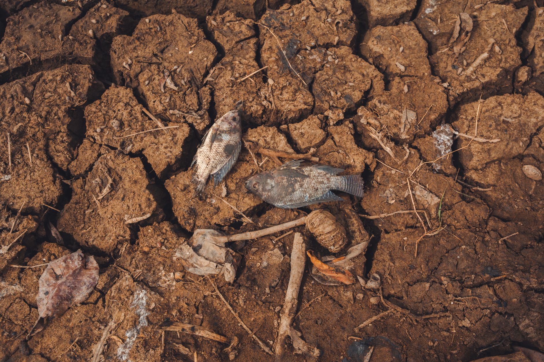 Criza hidrologică de pe Nistru și Prut: Ucraina reduce deversările pentru a proteja rezervele de apă