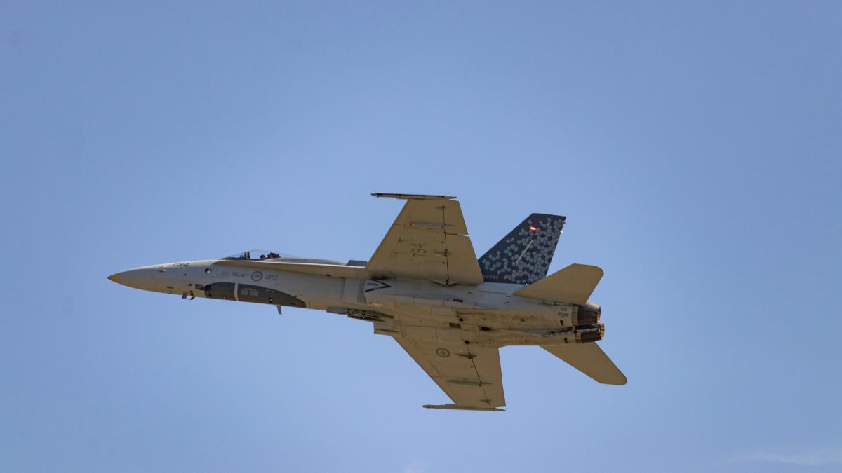 Avioane F-18 spaniole ridicate în aer după detectarea unei ținte la granița României cu Ucraina
