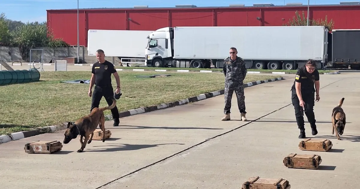 Echipe canine ucrainene au finalizat pregătirea pentru securizarea frontierelor în România