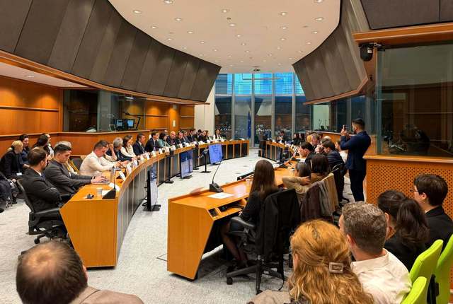 Victor Negrescu propune transformarea României într-un producător de tehnologie de apărare pentru Europa