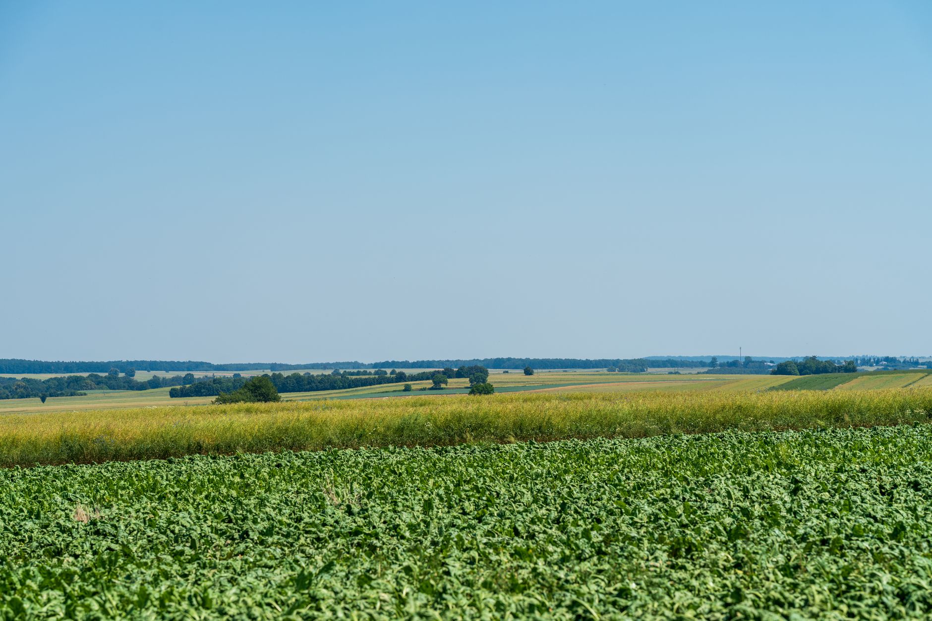 Alianța România-Italia pentru protejarea fondurilor UE: 17 state cer menținerea bugetelor pentru agricultură și coeziune