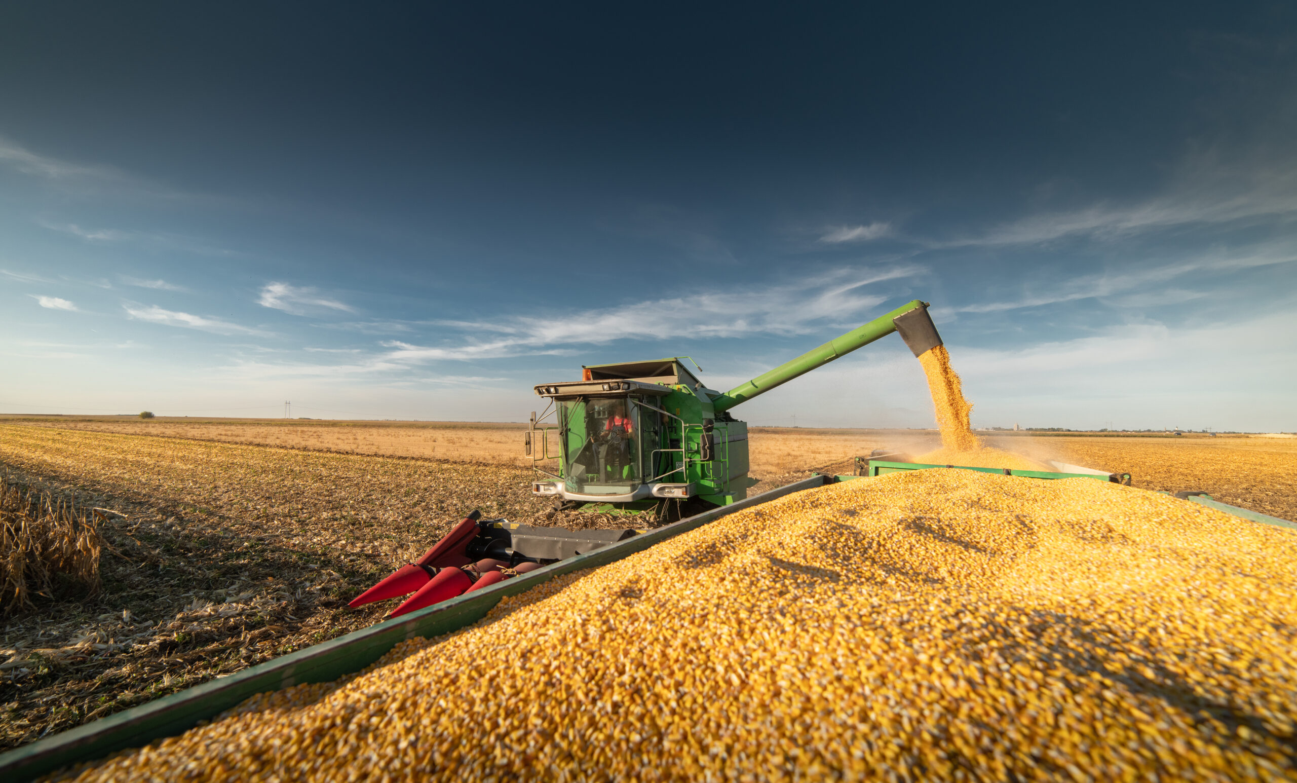 Instabilitatea din Marea Neagră și Strâmtoarea Ormuz propulsează prețurile cerealelor la un nivel maxim