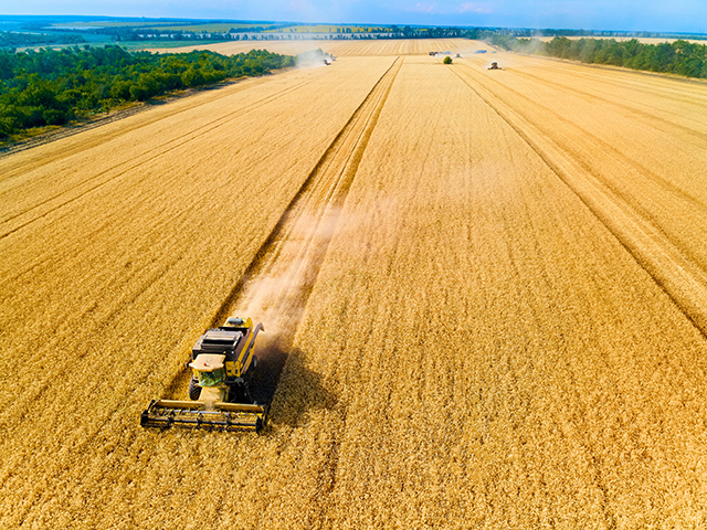Tensiuni în UE: România și Polonia refuză extinderea capacității de tranzit pentru cerealele ucrainene