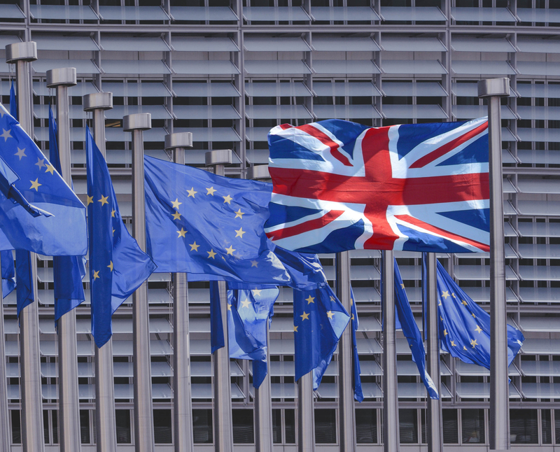 Organizații de afaceri cer UE să includă produsele britanice în cadrul politicii „Made in Europe”