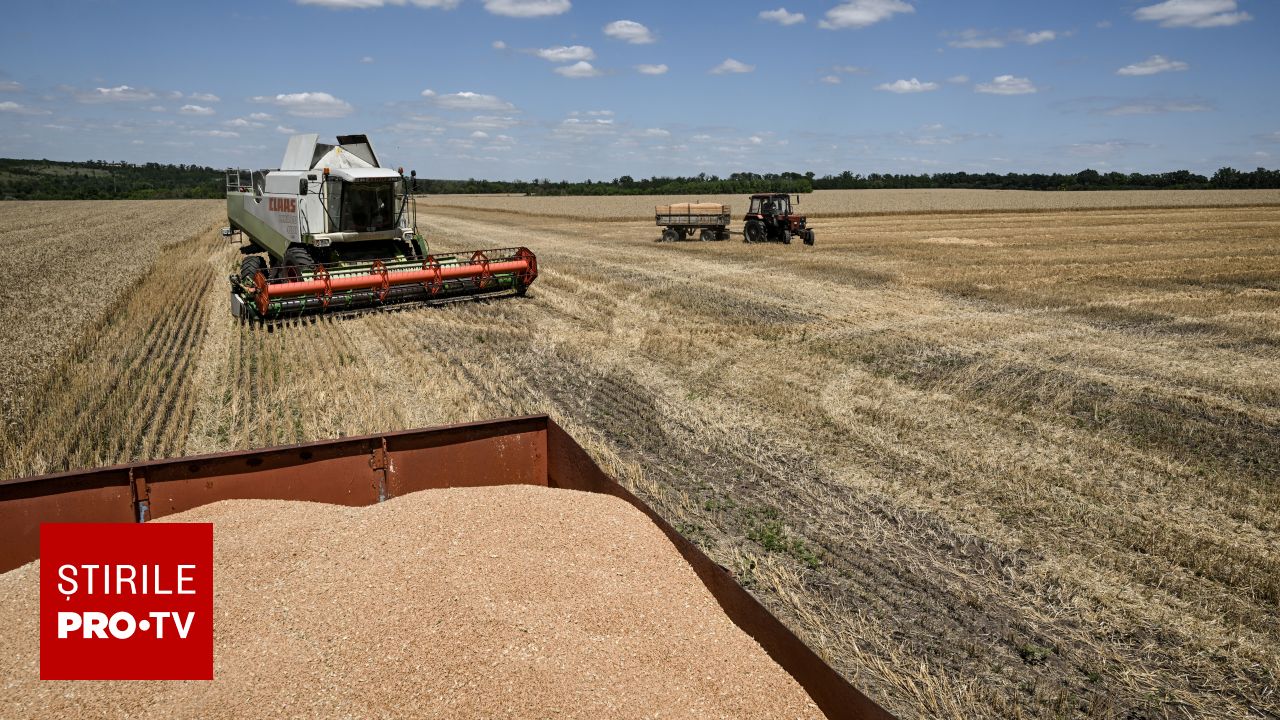 Blocajul exporturilor de cereale din Marea Neagră amenință securitatea alimentară globală